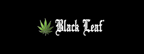 Das meiste Cashback bei Black Leaf Logo