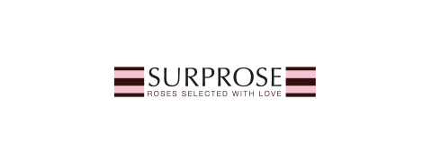 Das meiste Cashback bei Surprose.de Logo
