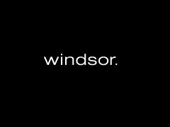 Das meiste Cashback bei windsor. Logo