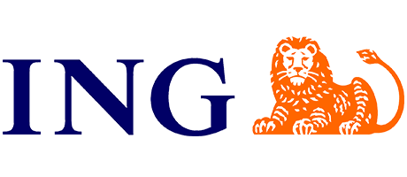DealWise (ING) Logo